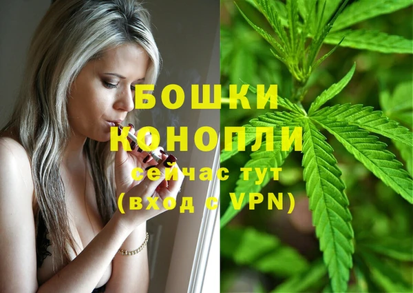 СК Арсеньев