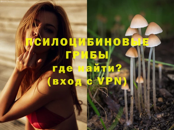 ешки Армянск