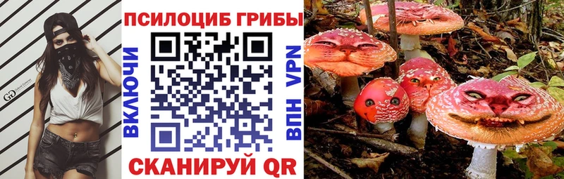 Галлюциногенные грибы Psilocybine cubensis Болохово